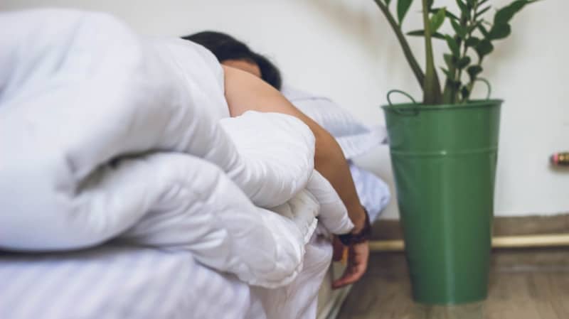 Woman sleeping with a green plant next to her