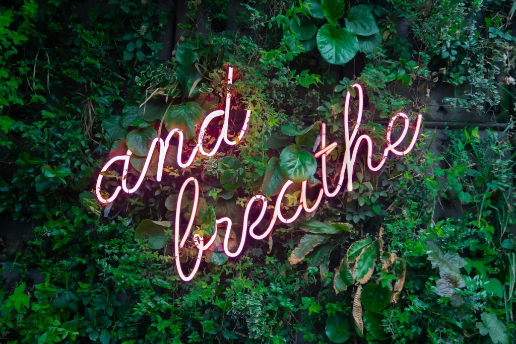 a photo with grass in the background and a pink neon sign that says "and breathe"