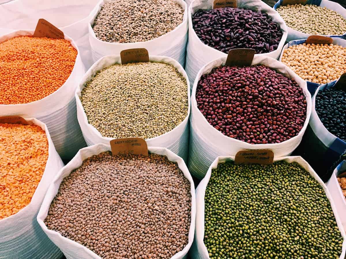 several different types of dried beans which are a good source of protein on a plant-based diet