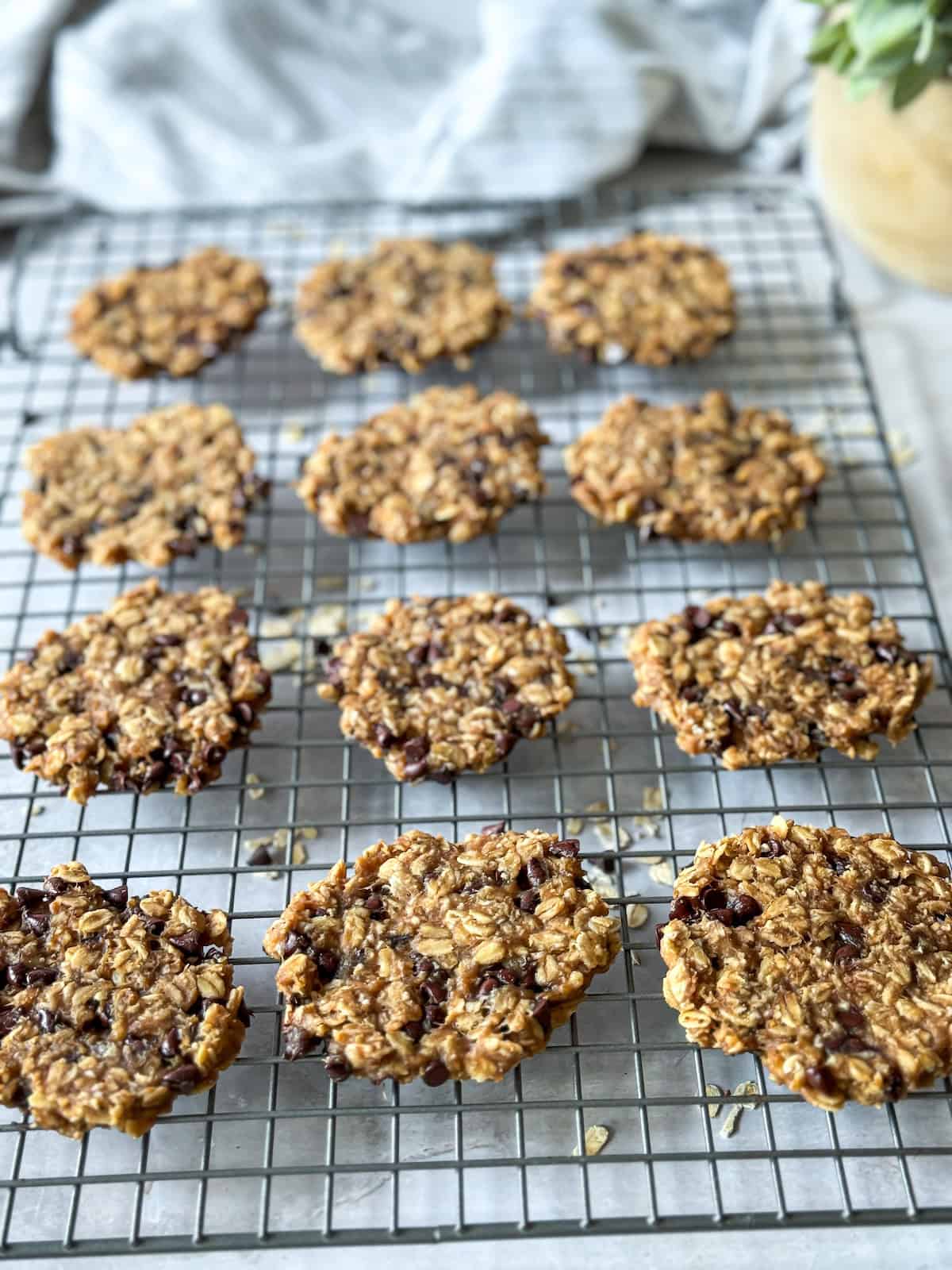 4 ingredient banana oatmeal cookies on a cooling rack. 