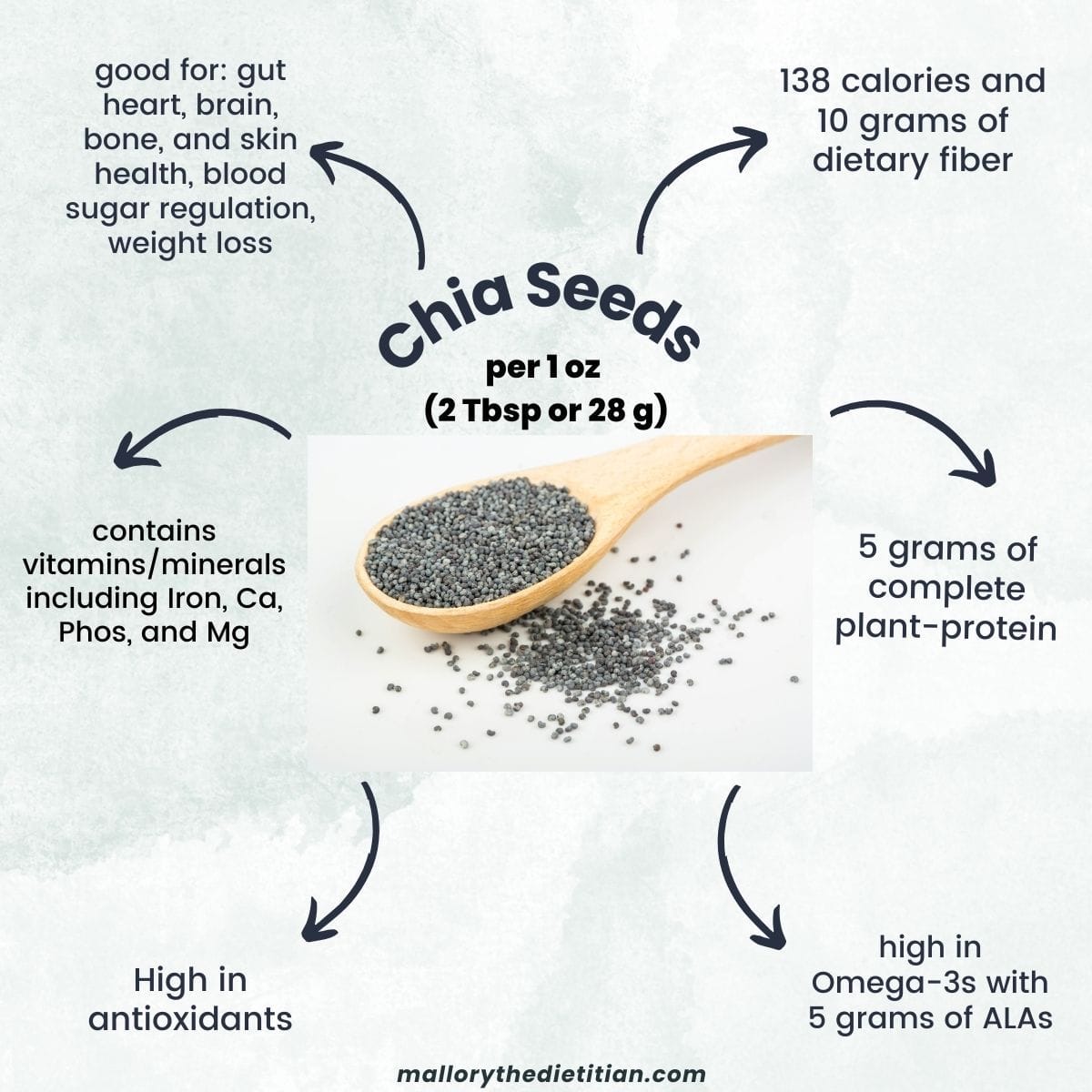 chia seeds nutrition facts infographic
