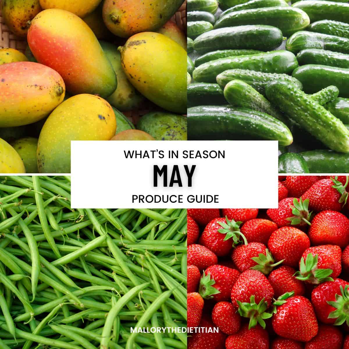 may produce guide photo.