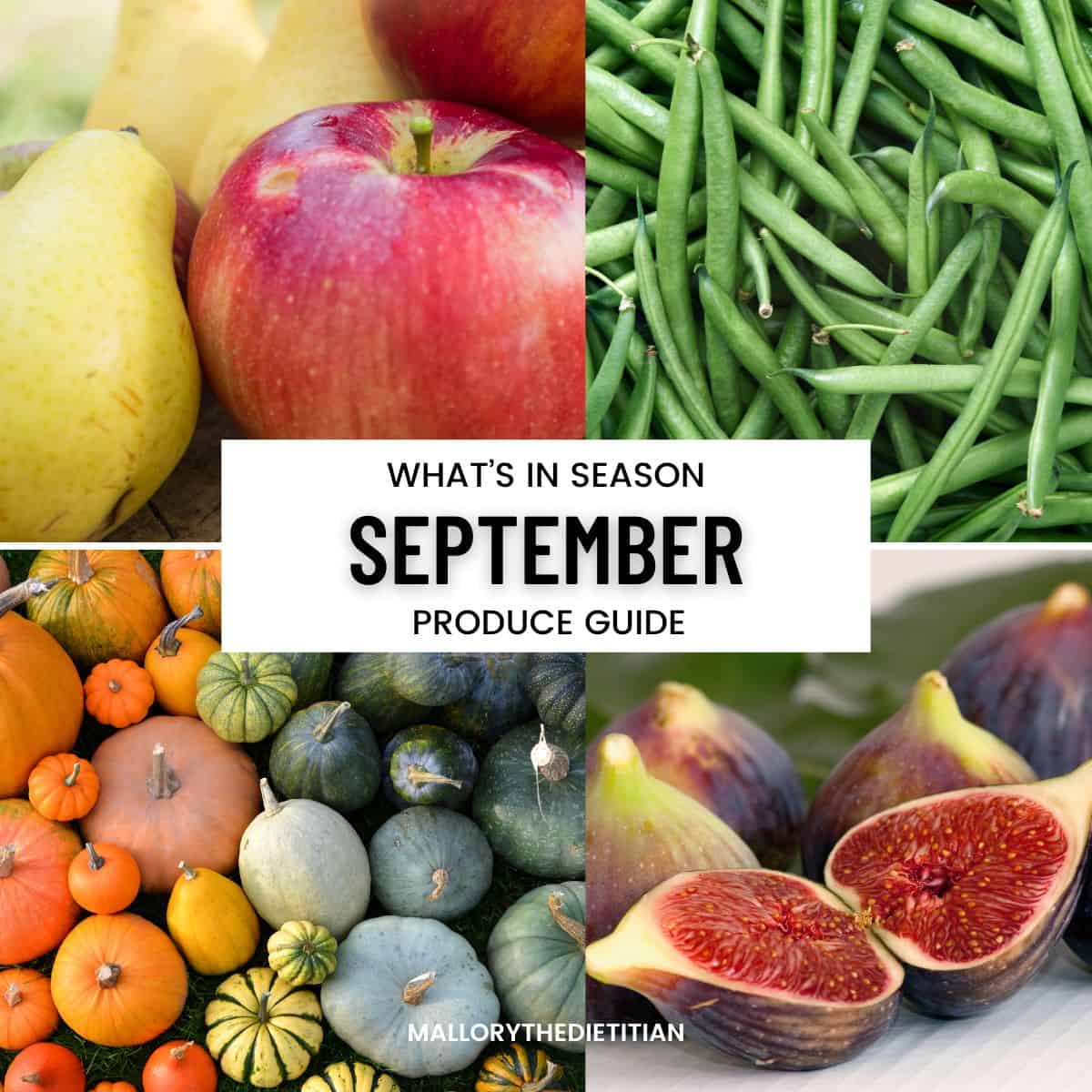 what's in season sept