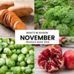 Infographic of what's in season november.