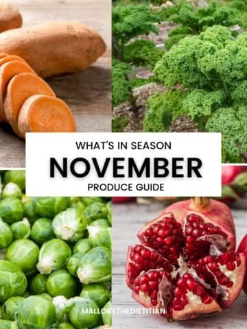 what's in season november image