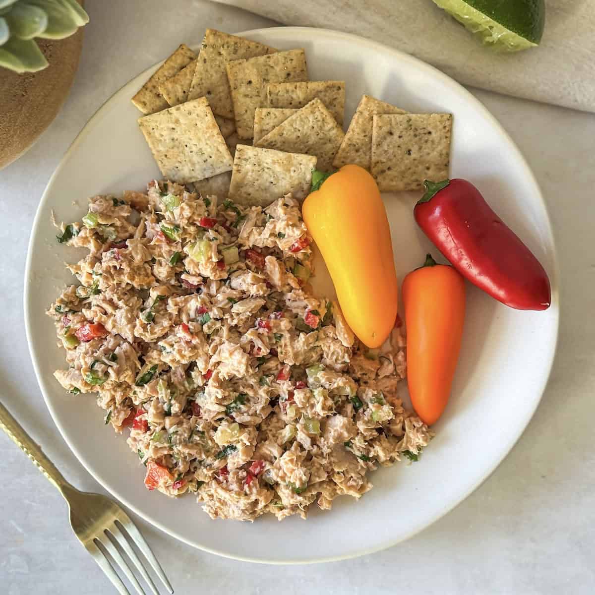 spicy tuna salad with crackers and sweet peppers further away.