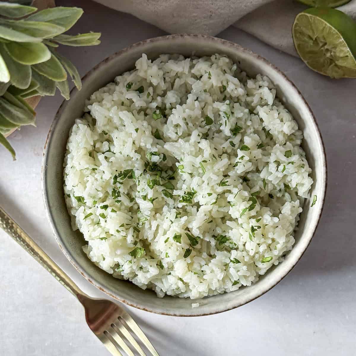 cilantro lime rice in a bowl, overhead view.