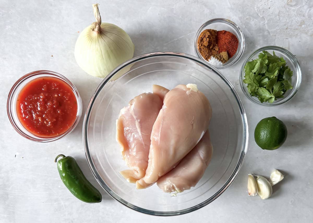 ingredients for slow cooker chicken tacos with salsa on a table.