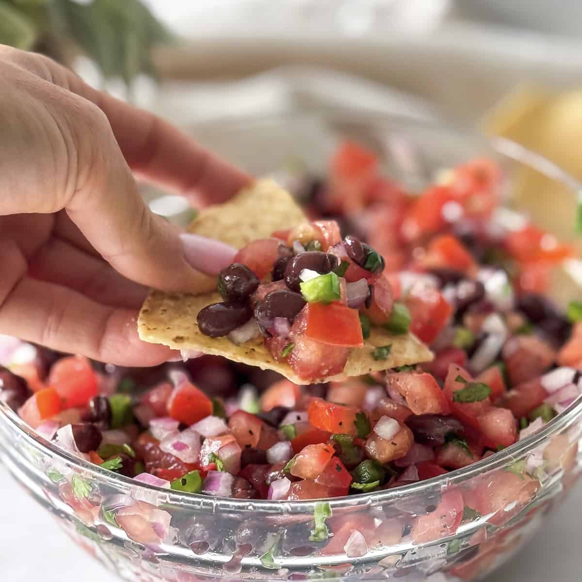 Black Bean Salad no corn on a chip being held by a human hand.