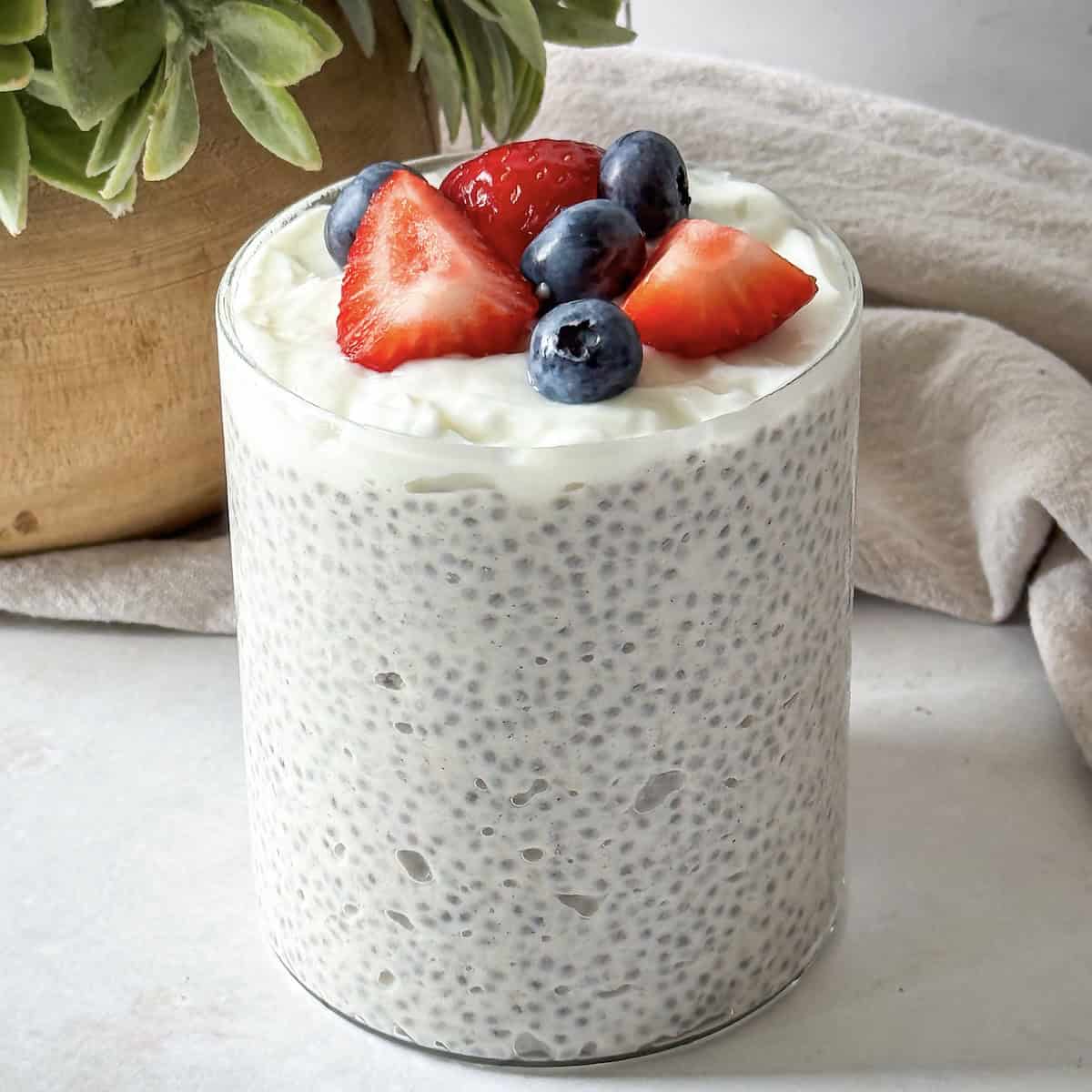 chia pudding with greek yogurt and berries on top