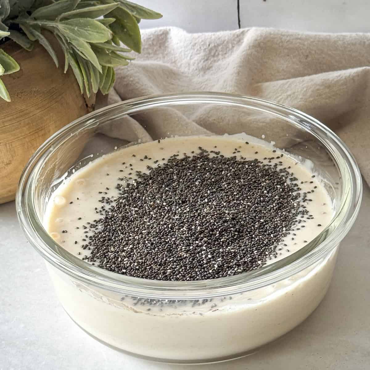 chia seeds poured into a glass bowl with milk and yogurt.