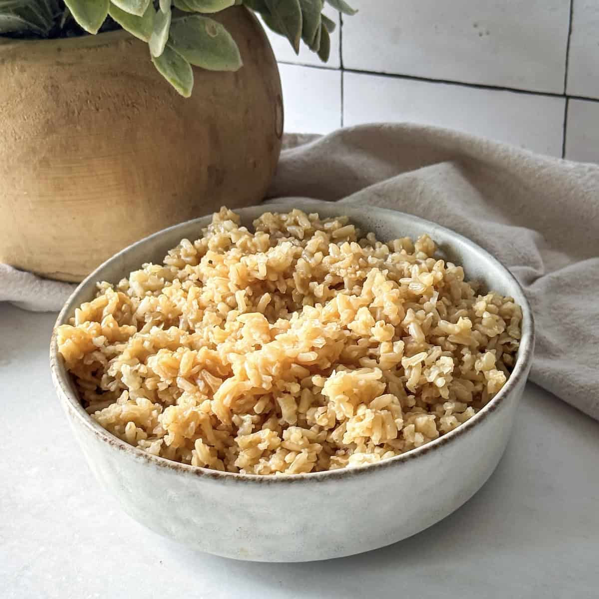 bone broth rice side view in a bowl.