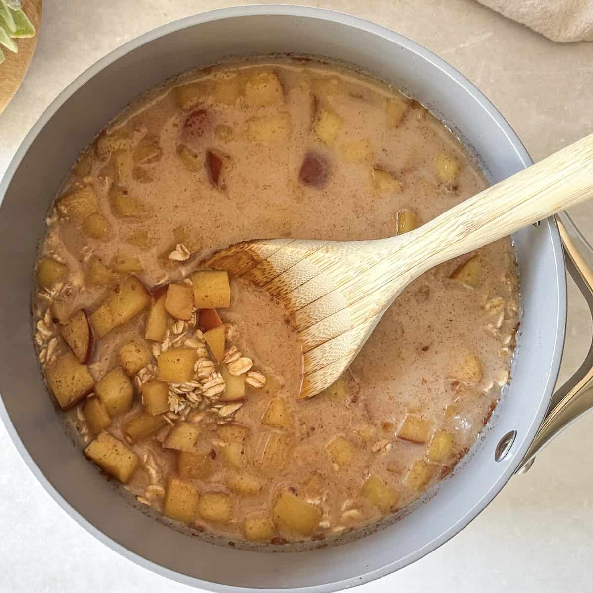 overhead view of apple cinnamon oatmeal in a saucepan.