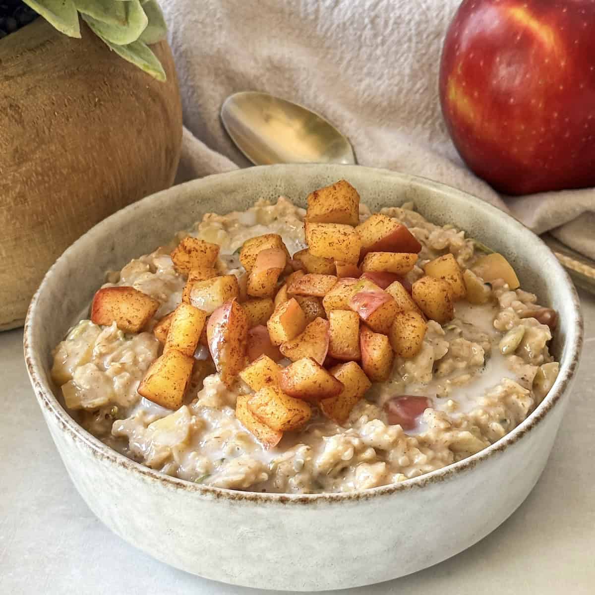 side view of apple cinnamon oatmeal 3.