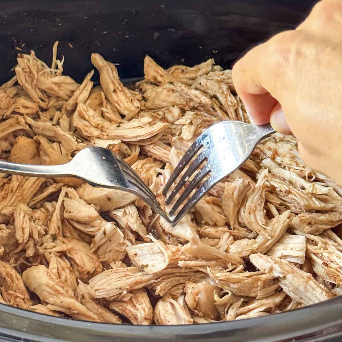 overhead view of seasoned chicken in a crockpot.