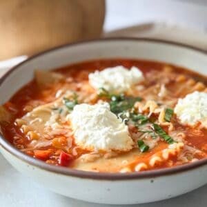 side view of healthy lasagna soup portrait.