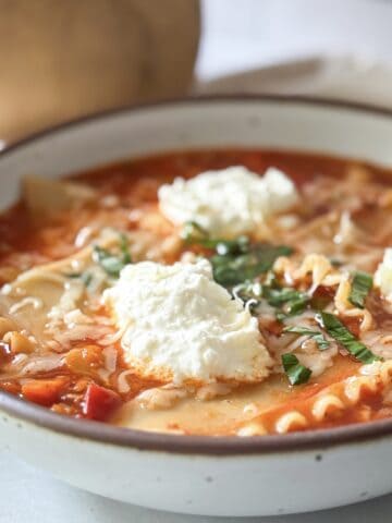 side view of healthy lasagna soup portrait.