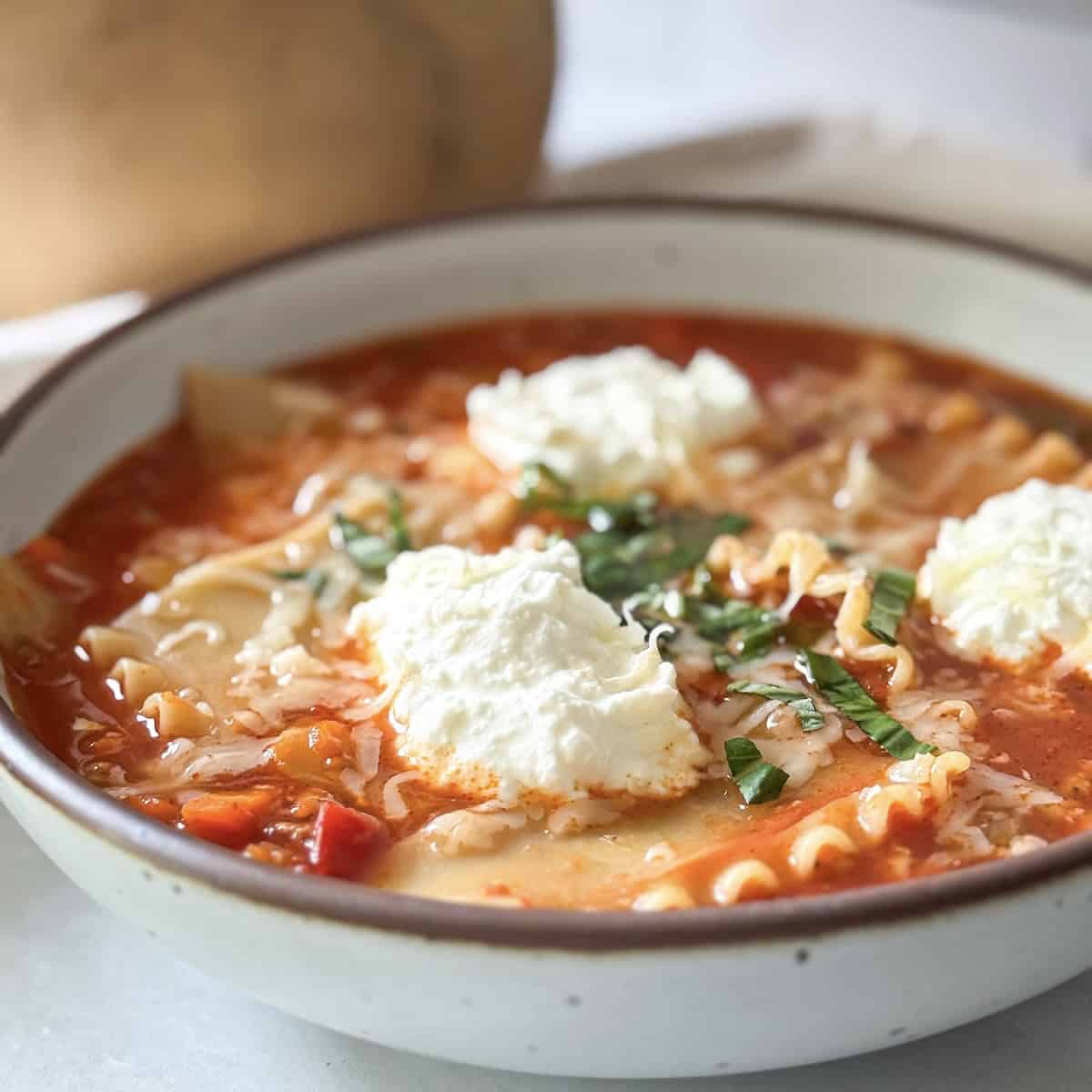 side view of healthy lasagna soup portrait.