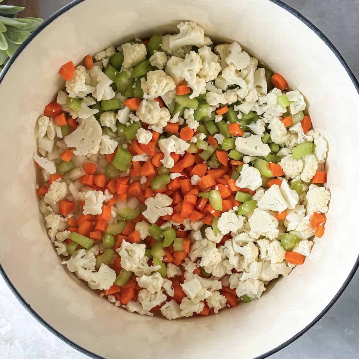 carrots, celery, onion, and cauliflower in a pot.
