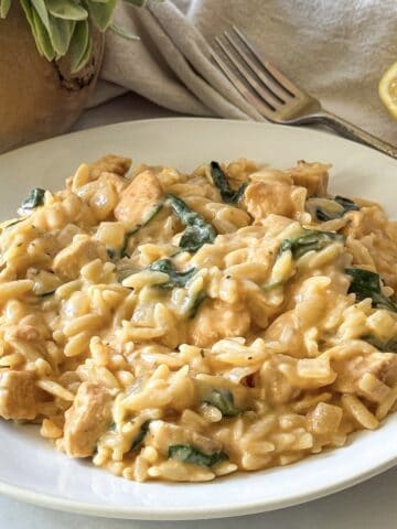 close up side view of lemon chicken orzo on a plate.