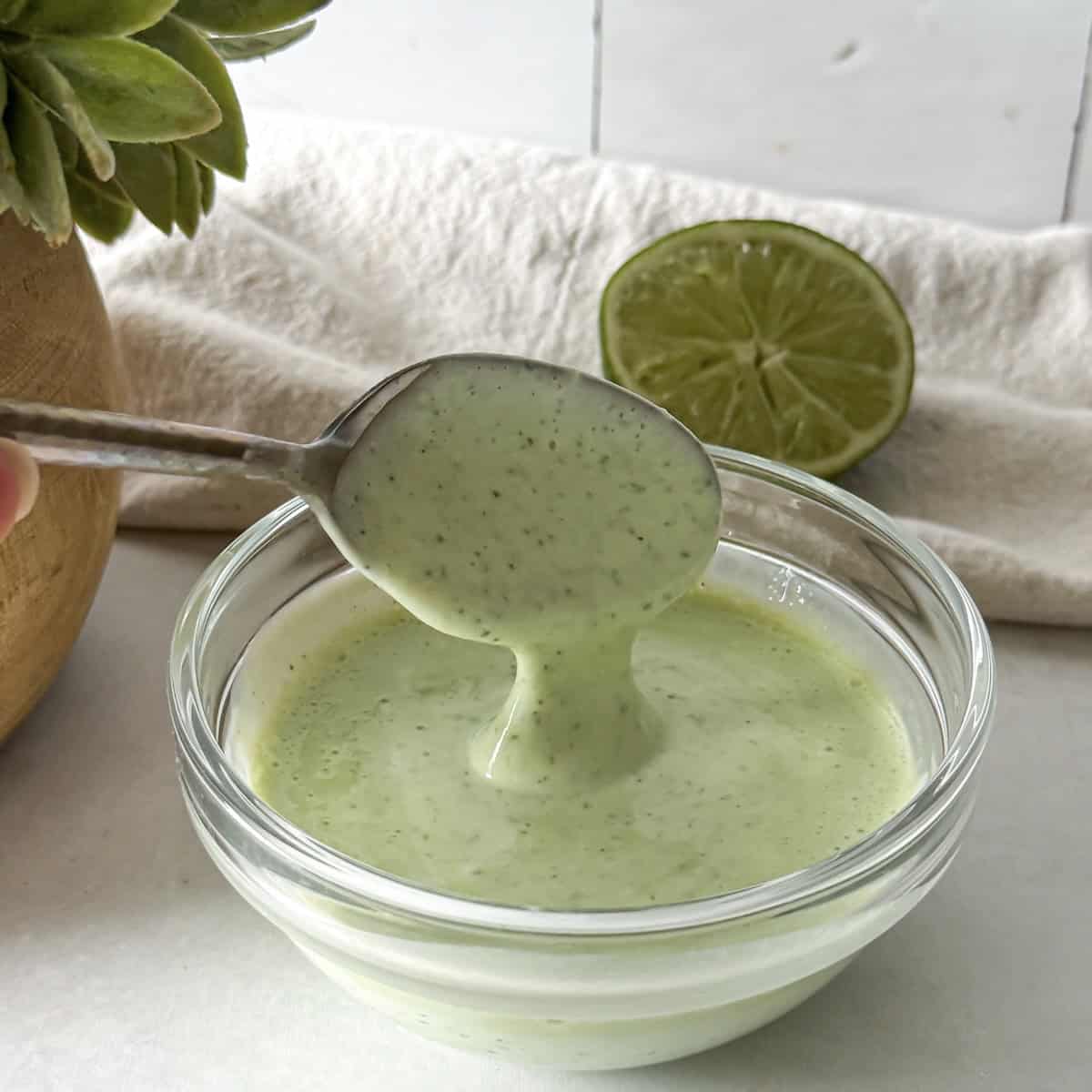 cilantro lime yogurt sauce side view.