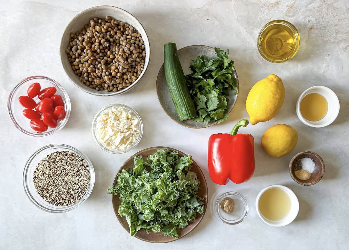 overhead view of copycat costco quinoa salad ingredients on a table.