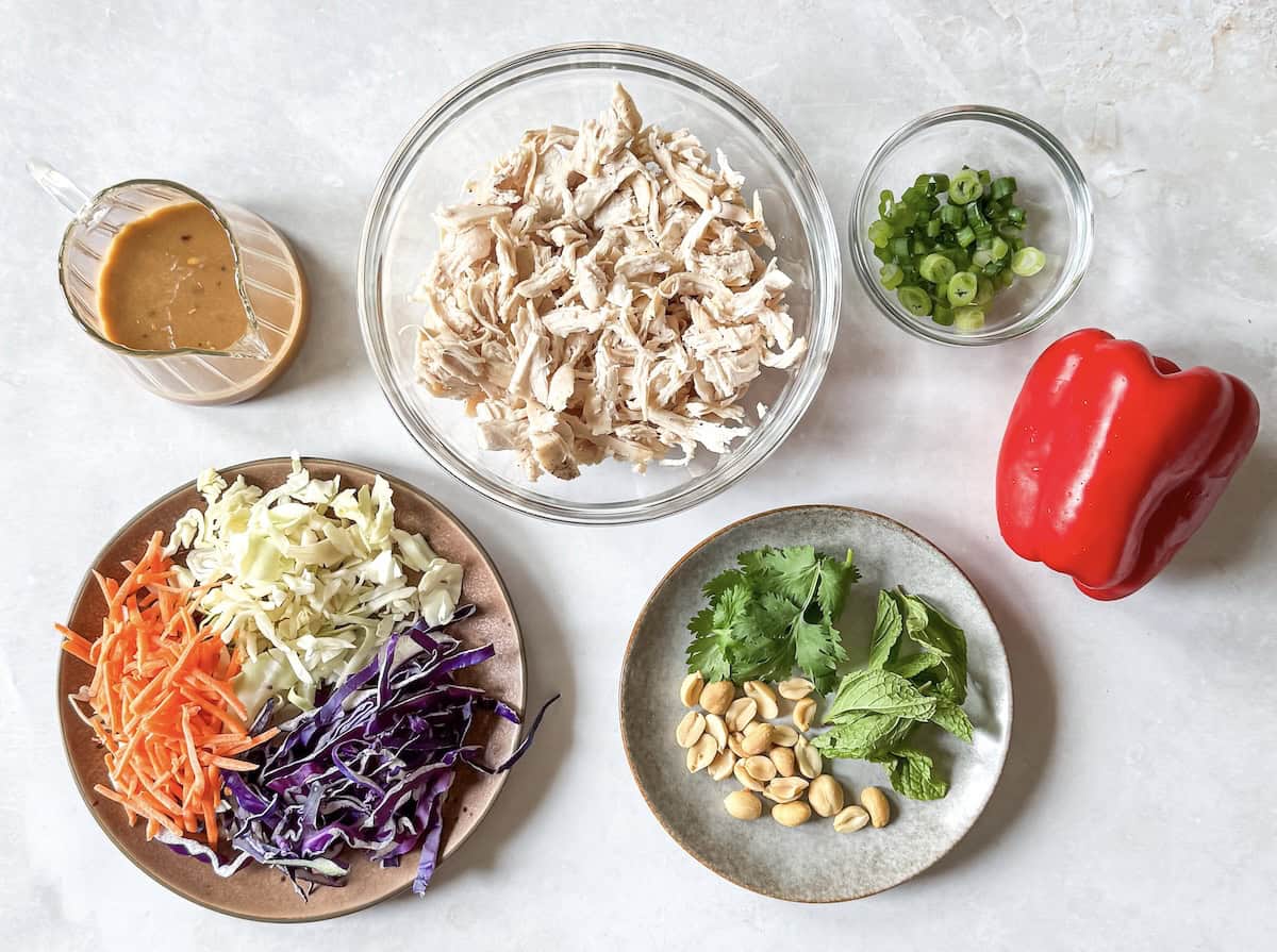 overhead view of ingredients for thai chicken salad.