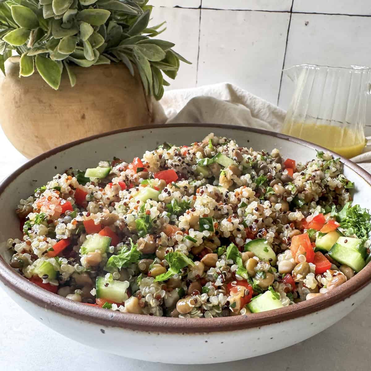 side view of copycat costco quinoa salad.