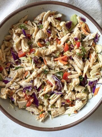 thai chicken salad overhead view.