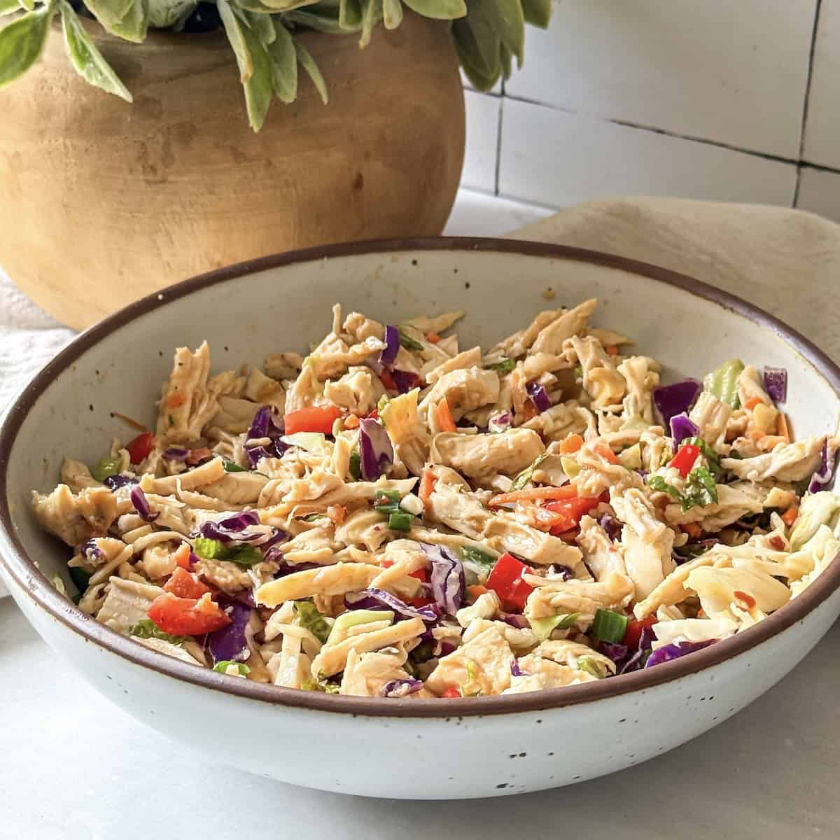 thai chicken salad side view.