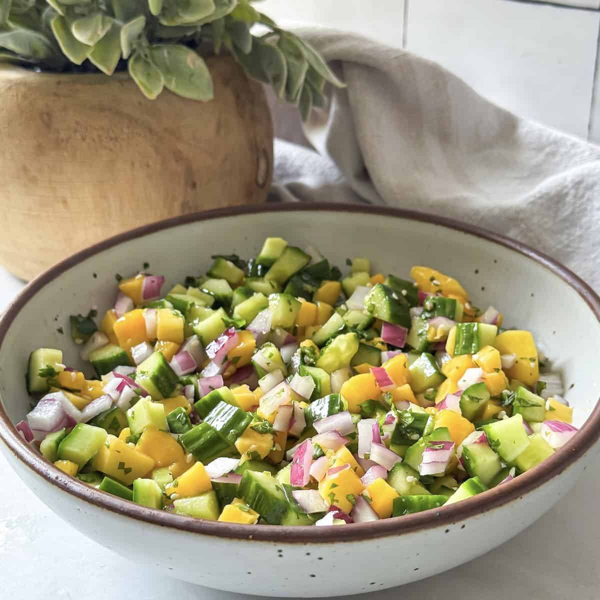 cucumber mango salad side view.