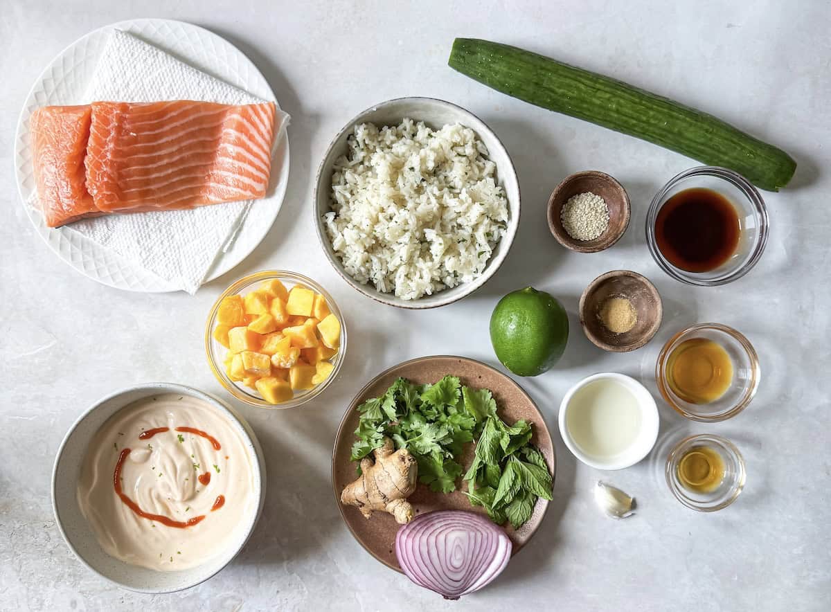 ingredients for salmon rice bowl.