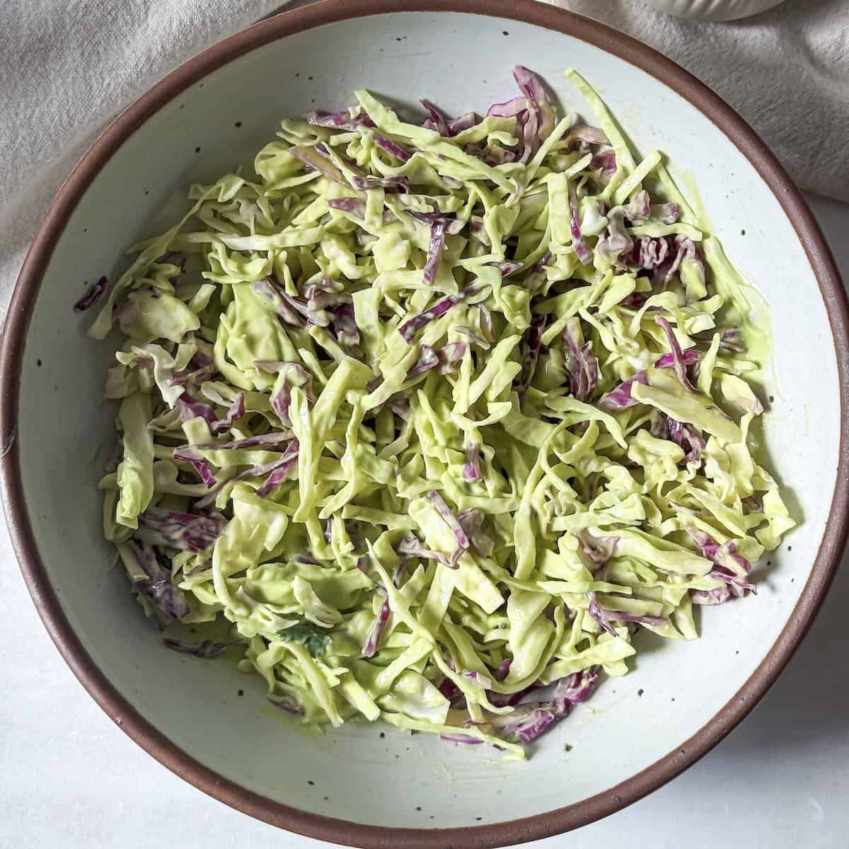 avocado coleslaw final, overhead view.